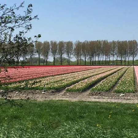 Rekerlanden 86