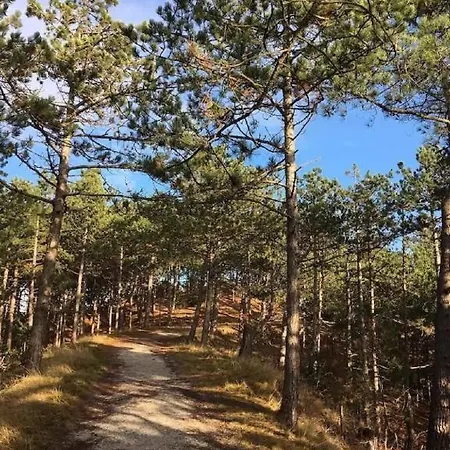 Rekerlanden 86 Üdülőpark Schoorldam